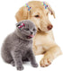 100Pcs Pet Dog Hair Bows Bowknot Topknot with Rubber Bands Cat Puppy Headdress Grooming Hair Accessories Random Color...