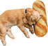 HOMBYS Large Dog Pillow for Large, Medium & Small Dogs, Cute Baguette Designs Dog Claming Pillow for Neck Support, Improve Anxiety Relief-20"x7.5"...