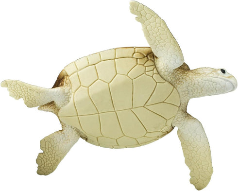 Safari Ltd. Green Sea Turtle Figurine - Detailed 4" Plastic Model Figure - Fun Educational Play Toy for Boys, Girls & Kids Ages 1+...