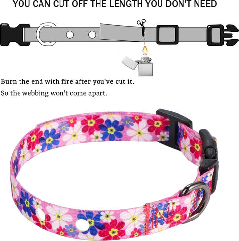 Rhea Rose 3/4 Inch Replacement Collar Strap Shock Collar with 2 Holes, Compatible with Nearly All Brands and Models of Underground Electric Dog Fe...