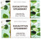 Bath and Body Works Bar Soap 2 pack (Eucalyptus Spearmint)...