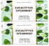 Bath and Body Works Bar Soap 2 pack (Eucalyptus Spearmint)...