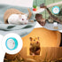 Silent Hamster Wheel Small Silent Hamster Wheel Non-Slip Pets Running Sports Exercise Wheel for Small Animal Hamster 4.7In in Diameter...