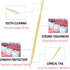 AKOAK Plastic Toothpick, Two-Headed Toothpick Oral Stick, Disposable Interdental Brush Oral Hygiene Cleaning and Care Tools (About. 1050-1100 Piec...