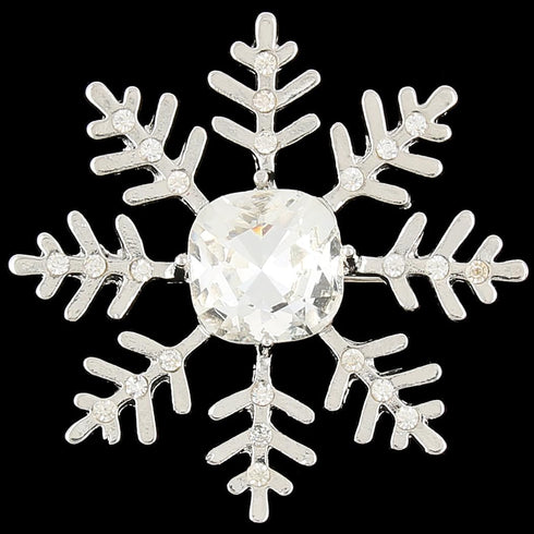 EVER FAITH Austrian Crystal Winter Snowflake Flower Brooch Pin Clear Silver-Tone...