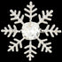 EVER FAITH Austrian Crystal Winter Snowflake Flower Brooch Pin Clear Silver-Tone...