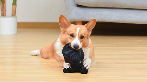 Star Wars for Pets The Shadow Stormtrooper 9” Plush Dog Toy with Squeaker | The Shadow Stormtrooper Toy for Dogs | Dog Toys, Squeaky Dog Toys, Dog...