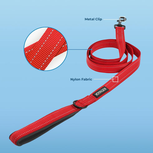 Voyager Reflective Dog Leash Collar Set with Neoprene Handle Supports Small, Medium, and Large Breed Puppies, Cute and Heavy Duty for Walking, Run...