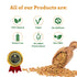 Spice Magic Whole Spices ~ 100% Pure, Aromatic & Natural I Gluten-Free I Non-GMO I Indian Origin, Fenugreek Seeds...