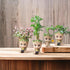 Mini Groot Figurine Miniature Model Home Accessories Decompression Artefact Kids (Bird Nest Model)...