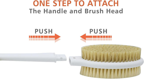 Shower Brush with Soft and Stiff Bristles,20.5" Extra Long Handle Dual-Sided Back Scrubber Bath Brush Body Exfoliator for Wet or Dry Brushing (Gre...