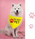 JXGZSO 1 Piece Stop Dot Not Pet/Stop No Touch No Talk/Stop Do Not Distract Dog Bandana (DO NOT PET Y D)...