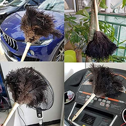 Feather Duster, Feather Dusters for Cleaning Ddzmz Fluffy Natural Genuine Ostrich Feathers with Wooden Handle Reusable Handheld Ostrich Feather Du...