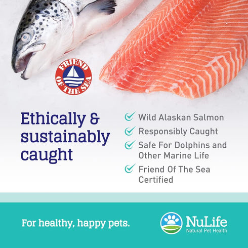 100% Pure Omega 3 Fish Oil for Dogs & Cats - Pet Fish Oil Supplement with DHA & EPA Fatty Acids for Healthy Skin & Shiny Coat - Improves Shedding ...