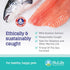 100% Pure Omega 3 Fish Oil for Dogs & Cats - Pet Fish Oil Supplement with DHA & EPA Fatty Acids for Healthy Skin & Shiny Coat - Improves Shedding ...