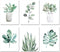 Botanical Prints Wall Art Room Decor for Bedroom Aesthetic, 8x10 Canvas Poster Unframed Set of 6, Plant Prints Leaf Posters Sage Green Decor...
