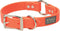 Brahma Webb Hunting Dog Collar, 1" x 23", Blaze Orange...