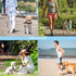 3FT/6FT/10FT Climbing Rope Leash for Dogs with Comfortable Padded Handle Classic Dog Leash for Medium Large Dogs...