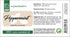 Peppermint Essential Oil - 4 fl oz - 100% Pure Essential Oil - GreenHealth...