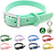 Waterproof Dog Collar, Adjustable Odor Proof Dog Collars Easy to Clean, Soft Comfortable Pet Collars for Large, Medium Small Dogs (XS, Mint Green,...