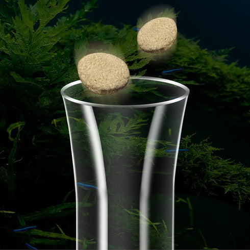 Ailindany 200mm Fish Feeder Tube Aquarium Clear Glass Feeder Tube for Fish Tank Shrimp Feeding with 2pcs Suction Cups...