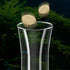 Ailindany 200mm Fish Feeder Tube Aquarium Clear Glass Feeder Tube for Fish Tank Shrimp Feeding with 2pcs Suction Cups...