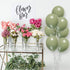 12 Inch Sage Green Balloons Eucalyptus Bridal Shower Balloons Greenery Gender Neutral Baby Shower Decorations Olive Green Party Balloons 40 Count...