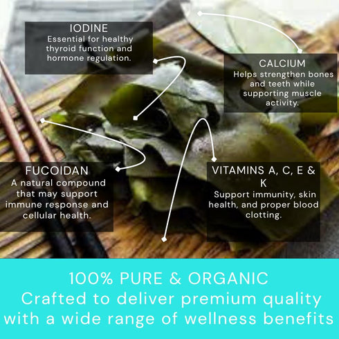 Ocean's Balance Organic Whole Leaf Kombu – Maine Coast Vegetables for Keto, Paleo, Vegetarian & Vegan Diets – Sweet Seaweed Gluten Free Products (...