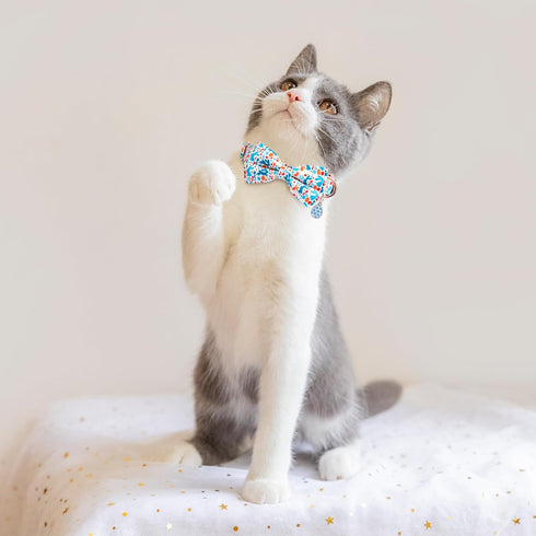 Dog Collar with Bowtie, Adjustable Dog Collars, Pet Collar with Metal Buckle and Cute Charms, Personalized Dog Collars for Medium Dogs (M?13-20"?,...