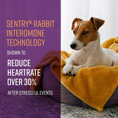 Sentry Behavior Portable Calming Diffuser for Dogs, Reduces Stress and Bad Behavior with Calming Pheromones, Easy-to-use Portable Design, 30 Day R...