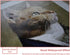 Create Personalized Wall Art with Your Photo on Canvas Custom Canvas Prints for Home Decoration - Personalized Canvas Painting for Wall No Frame 6...