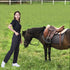 Pet Grooming Pants Lightweight Groomer Trousers for Pet Groomers Waterproof Cosmetologist Uniforms for Pet Hospital...
