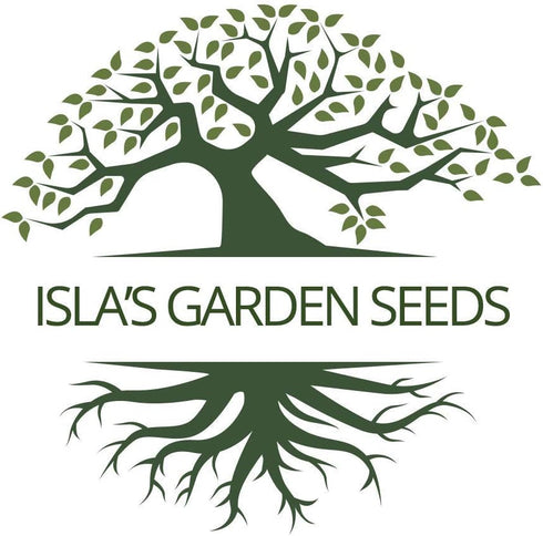 Greek Oregano Herb Seeds for Planting, 2500+ Seeds Per Packet, (Isla's Garden Seeds), Non GMO & Heirloom Seeds, Botanical name: Origanum vulgare, ...