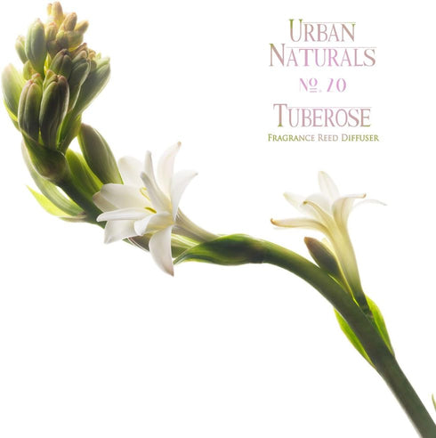 Urban Naturals Tuberose Fragrance Oil Reed Diffuser | Exotic Tuberose and Fragrant Orange Blossom | Floral Room Freshener with Reeds | Vegan. Made...