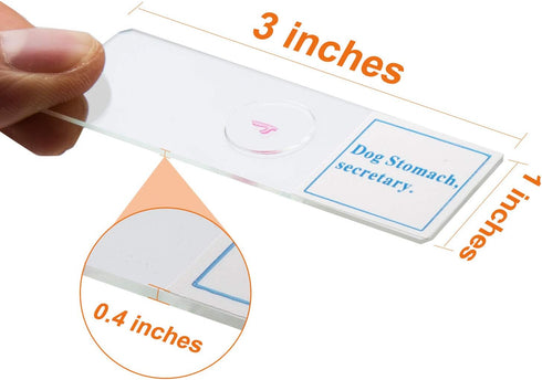 25 PCS Prepared Premade Microscope Slide Set with Specimen for Basic Biological Science Education...