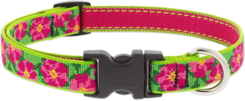 Lupine Large Dog Collar 3/4" wide Petunias design Adjusts from 15" to 25"...