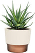 The HC Companies 7 Inch Sprite Round Planter - Small Plastic Plant Pot with Drainage for Indoor Outdoor Plants, Vanilla Bisque...