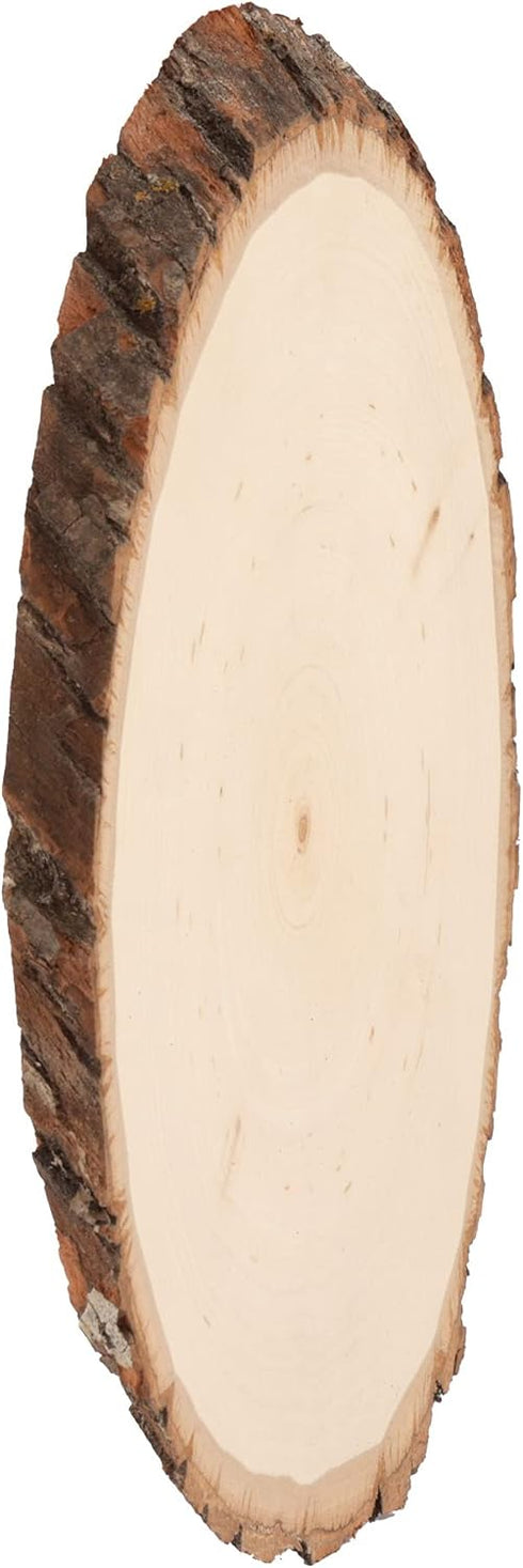 Walnut Hollow Basswood Round, Small 5-7" wide with Live Edge Wood (Pack of 1) - For Wood Burning, Home Décor, and Rustic Weddings...
