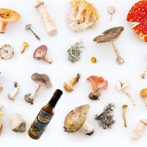 Mushroom Mayhem by Torchbearer Sauces, Medium Heat Hot Sauce With Flavors Of Umami, Shiitake Mushroom & Habanero Pepper, Made With All Natural Ing...