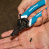 Klein Tools K11095 Klein-Kurve Wire Stripper and Cutter, for 8-18 AWG Solid and 10-20 AWG Stranded Wire...