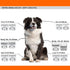 10 Blade Dog Grooming Clipper Replacement Blades Compatible with Andis Dog Clippers,Detachable Ceramic Blade & Stainless Steel Blade,Size-10, 1/16...
