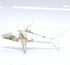 Shark Miniature Tiny Figurines Animals Hand Painted Blown Glass Art Sea Collectible Gift Decorate (Clear Silver)...