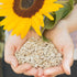 Raw Sunflower Seeds - Delicious Crunchy, Wholesome Snack Raw Shelled Sun Flower Seeds to Eat and Add in Food Recipes - Source of Protein, Fiber, a...