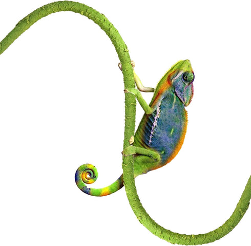 Hermit Crab Supplies Climbing Toys, Reptile Climbing Decor Vine, Bendable Bearded Dragon Accessories for Climbing 32 Inches...