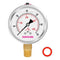 0-60psi/kpa Lead-Free Glycerin Filled Pressure Gauge, 2-1/2" Dial Size, Stainless Steel Case, with Vent Valve, 1/4" NPT Lower Mount, 2-1-2% Accura...