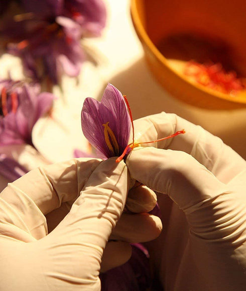 Zaffrus - Certified Organic Super-Premium All Red Saffron Threads (1.5 gram, .052 oz)...