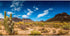 AWERT 24x16 inches Reptile Habitat Background Blue Sky Oasis Cactus Desert Terrarium Background Vinyl...