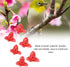 CHICIRIS Hummingbird Feeder Replacement Flowers, 30 Pieces Hummingbird Feeder Flowers, Hummingbird Feeder Parts, Replacement Flowers for Hummingbi...