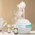 Healing Solutions - Best Blends Essential Oils Set (6x10ml) Pure for Gift Diffusers, Home - Essential Oils Wellness Set...