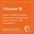 NOW Supplements, Vitamin B-12 Complex Liquid, Energy Production*, Nervous System Health*, 8-Ounce...